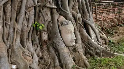 Bangkok - Tagesausflug Ayutthaya