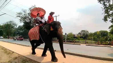 Ayutthaya - Elefanten Ausritt