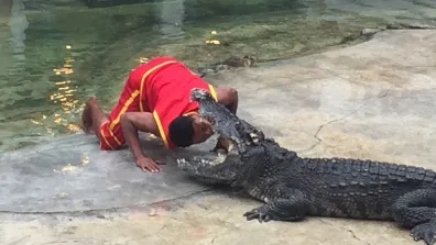Bangkok - Krokodil Farm