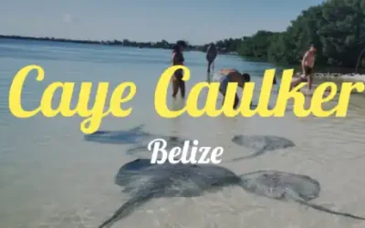 Caye Caulker » Traum in der Karibik