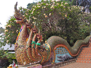 Chiang Mai - Wat Phra That Doi Suthep, Drache