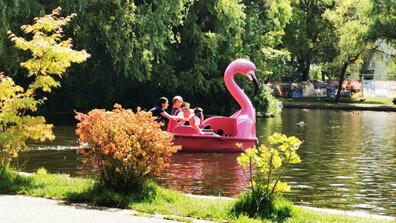 Cluj - Tretbootverleih "Flamingo"
