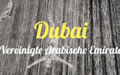 Dubai » Wüste und Wolkenkratzer