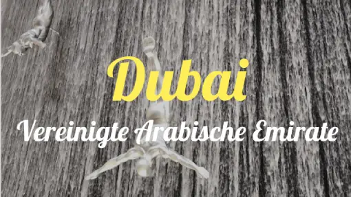 Dubai - Reisebericht Dubai - Reisebericht
