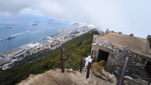 Gibraltar - Douglas Lookout