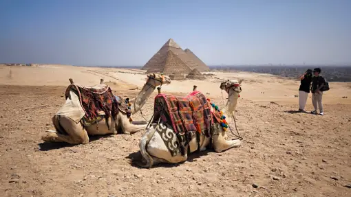Gizeh - Pause mit Kamelen an den Pyramiden