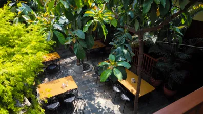 Kathmandu - Avocado Cafe