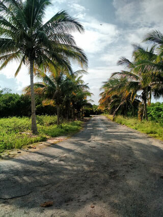 Kuba - Zufahrtsstraße Cayo Jutias