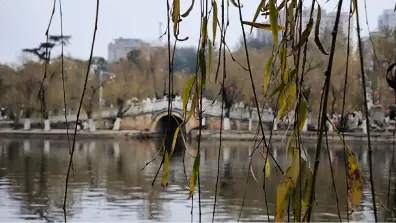 Kunming Green Lake Park - Brücken