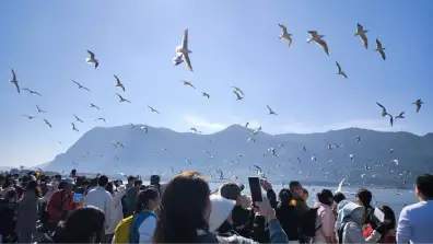 Kunming - Gull View Point