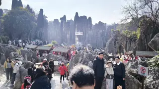 Stone Forest - Menschenmassen