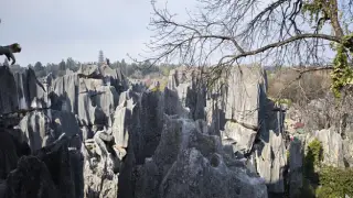 Stone Forest - Blick von oben