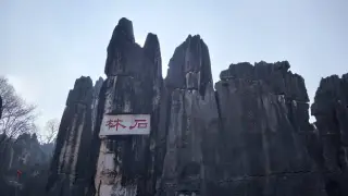 Stone Forest - Karstfelsen mit Schrift