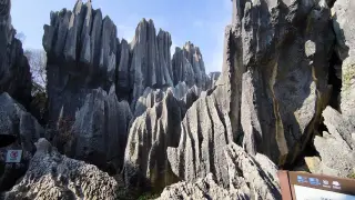 Stone Forest - Aussicht vom Wanderpfad