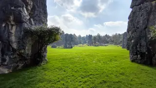 Stone Forest - Parkanlage