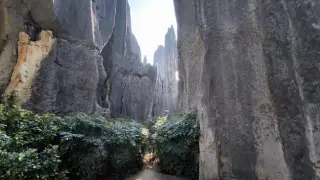 Stone Forest - Schlucht im Gebirge