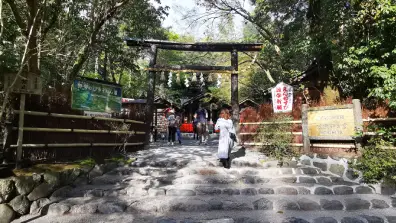 Kyoto - 野宮神社 Nonomiya Shrine