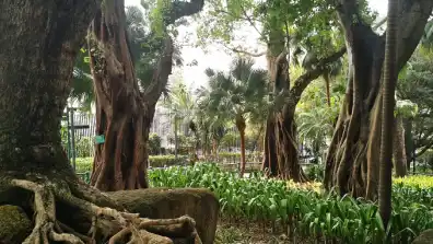 Macau - Camoes Garden