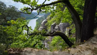 Malerweg - Aussicht nahe der Bastei