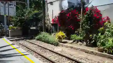 Mallorca - Zug von Palma nach Soller