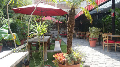 Mexiko City - Cafe Jardin Chapultepec