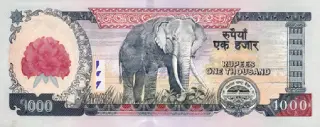 1000 nepalesische Rupie Nepal - 1000 nepalesische Rupie