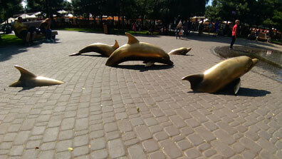 Odessa - Dolphins 