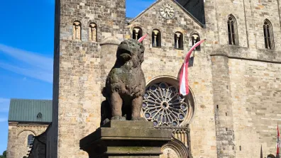 Osnabrück - Löwenpudel