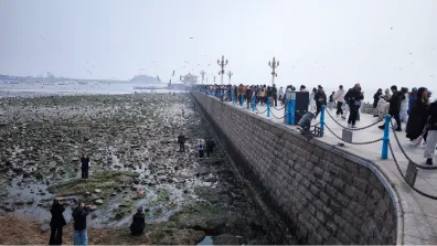 Qingdao - Zhanqiao Pier