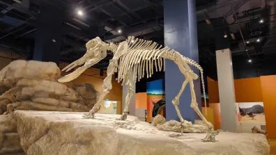 Riad - The National Museum