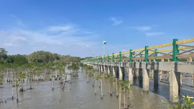 Samut Songkhram - Bang Khun Thian Viewpoint