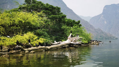 Nationalpark Sumidero Canyon in Chiapas - Vogelschutzgebiet