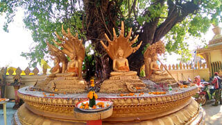 Vientiane - Buddhastatuen im Thatluang Tai Tempel
